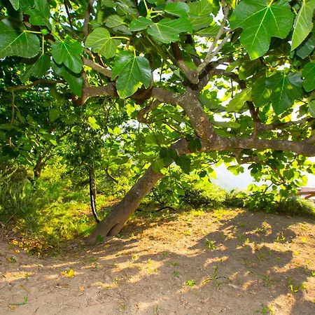 Сasa de vacaciones I Giardini Di