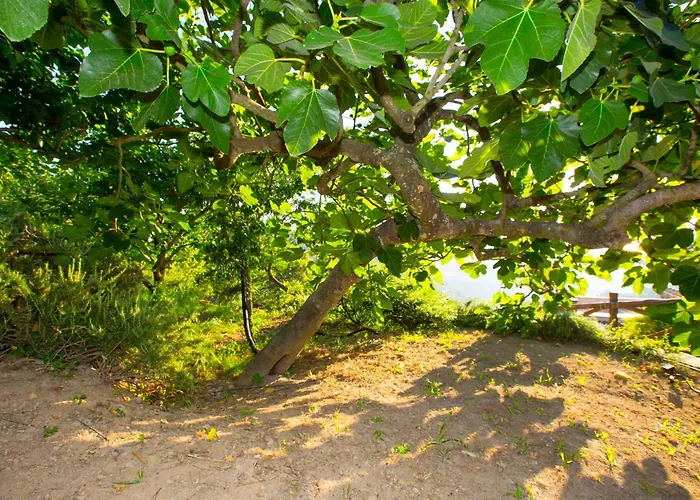 Prázdninový dům I Giardini Di